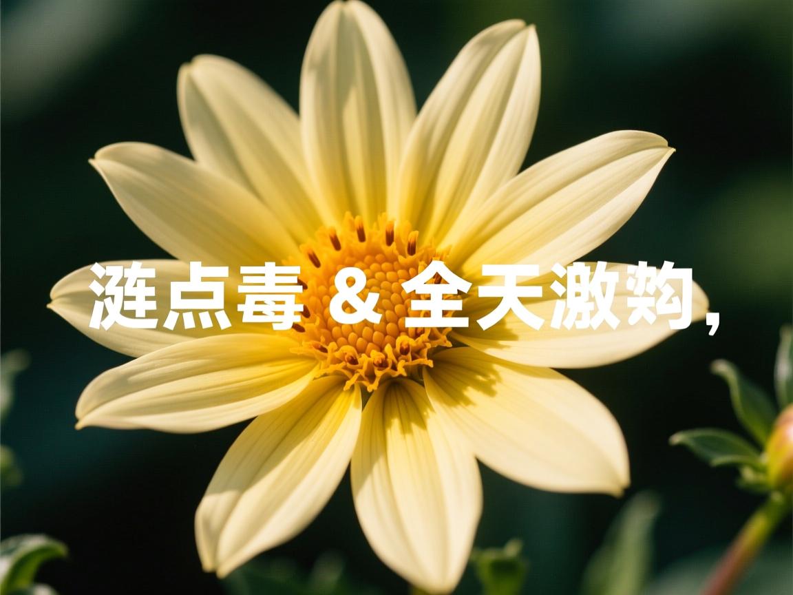 开云体育在线入口-拉脱维亚奋起直追，欧预赛拼搏无悔